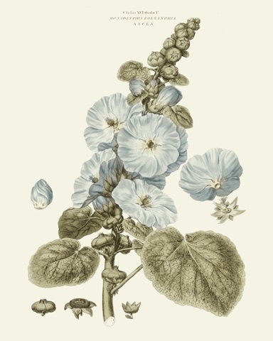 Bashful Blue Florals IV