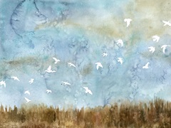 Birds in Flight I