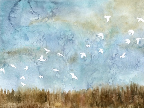 Birds in Flight I