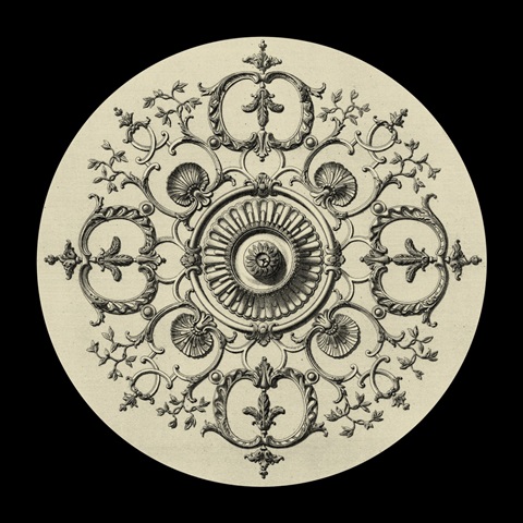 Black and Tan Medallion I