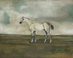 A Grey Hunter in a Landscape