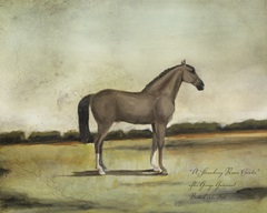 A Strawberry Roan Hunter