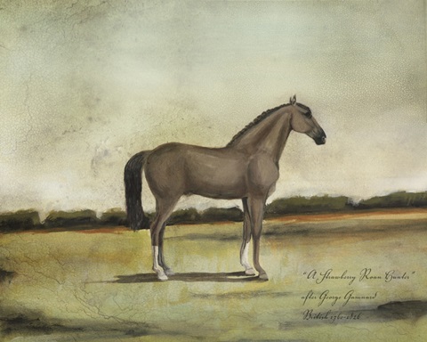 A Strawberry Roan Hunter