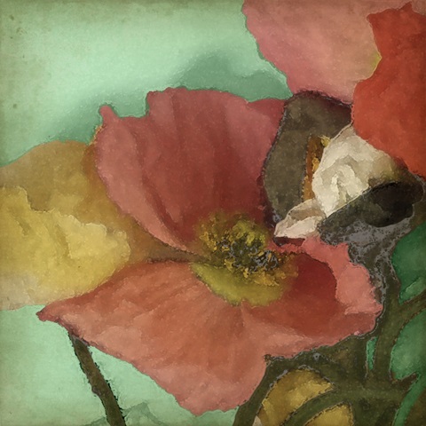 Aquatic Poppies I