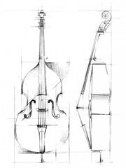 Bass Sketch