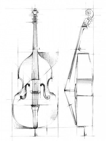 Bass Sketch