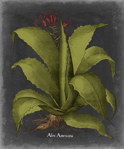 Besler Dramatique III