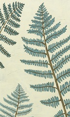 Blue Fern Trio I