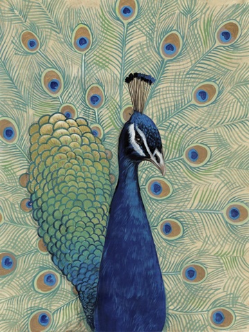 Blue Peacock I
