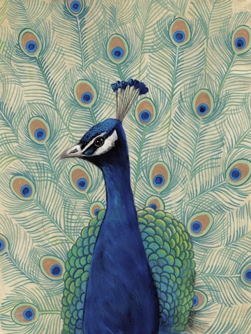 Blue Peacock II