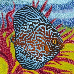 Brilliant Tropical Fish II