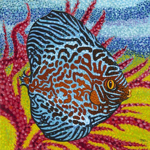Brilliant Tropical Fish II