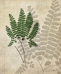 British Ferns II