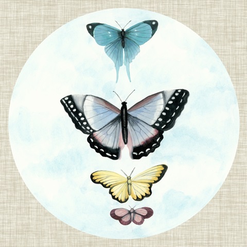 Butterfly Daydream II