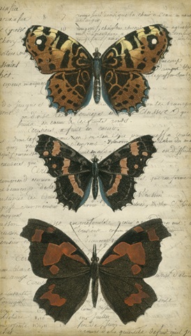 Butterfly Script II
