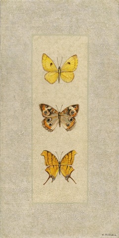 Butterfly Trio I