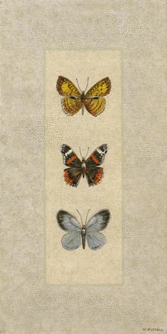 Butterfly Trio II