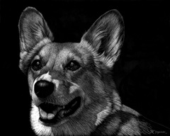 Canine Scratchboard XXIX