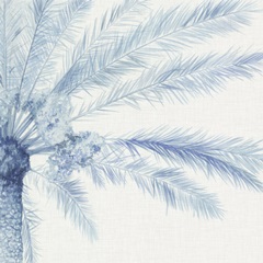 Chambray Palms II