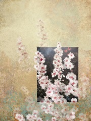 Cherry Blossom Abstract III