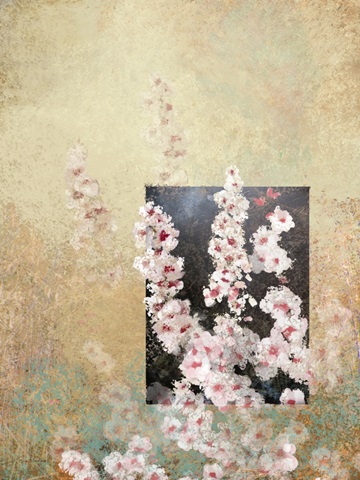 Cherry Blossom Abstract III