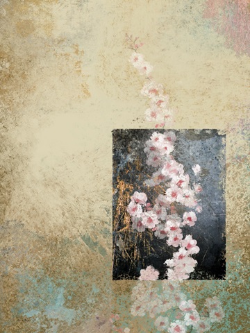 Cherry Blossom Abstract IV
