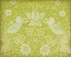 Citrus Chintz I