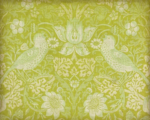 Citrus Chintz I