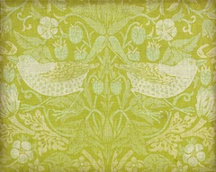 Citrus Chintz II