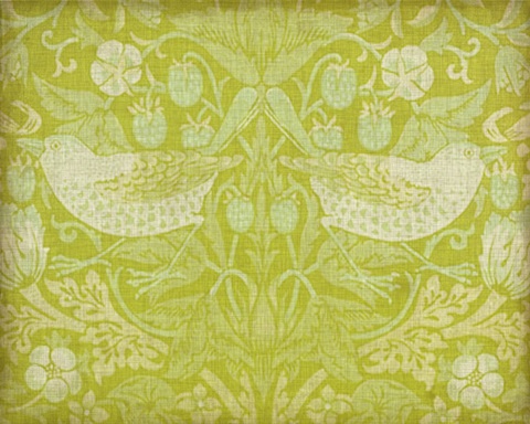 Citrus Chintz II