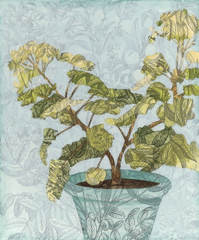 Conservatory Collage II