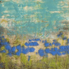 Cornflower Poppies I