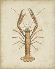 Crustaceans I