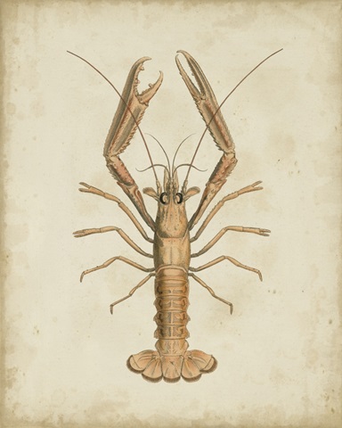 Crustaceans I