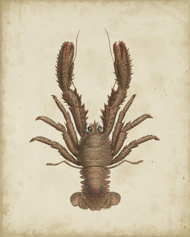 Crustaceans III