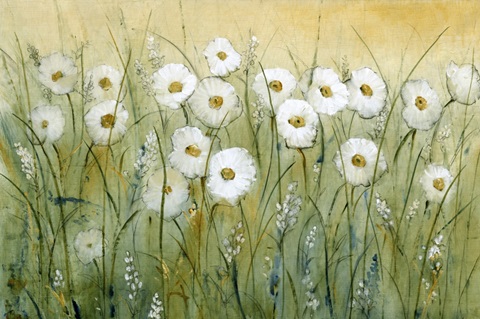 Daisy Spring I