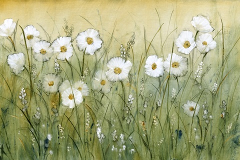 Daisy Spring II