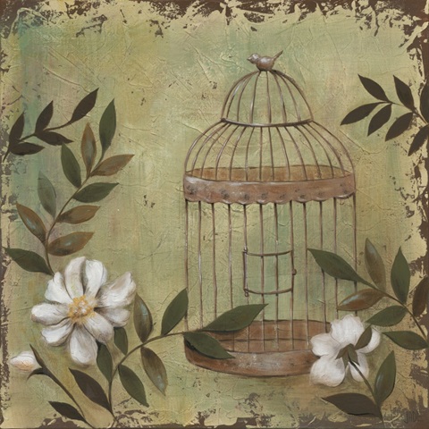 Decorative Bird Cage I