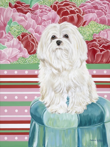 Della Rose Maltese