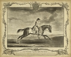 Distinguished Horses I