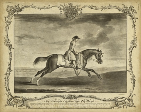 Distinguished Horses I