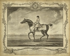 Distinguished Horses II