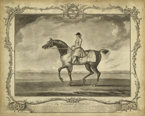 Distinguished Horses II