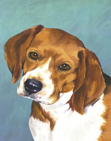 Dog Portrait-Beagle