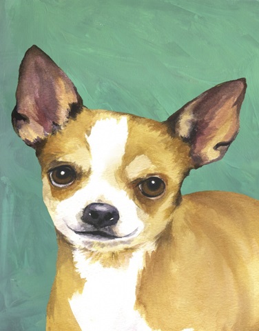 Dog Portrait-Chihuahua