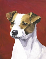 Dog Portrait-Jack