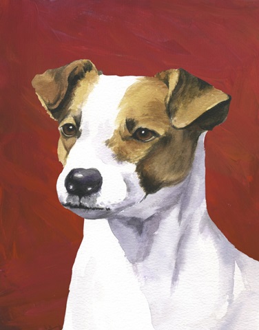 Dog Portrait-Jack
