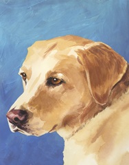 Dog Portrait-Yellow Lab