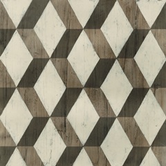 Driftwood Geometry I