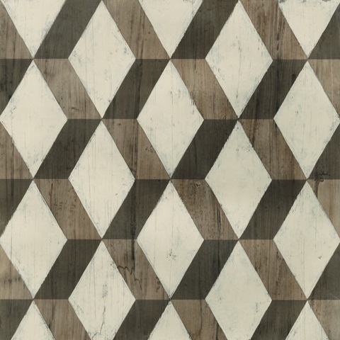 Driftwood Geometry I